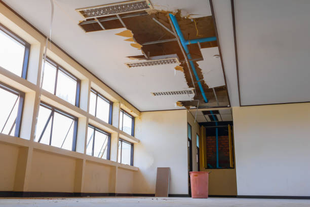Best Local water damage restoration  in Warsaw, IL