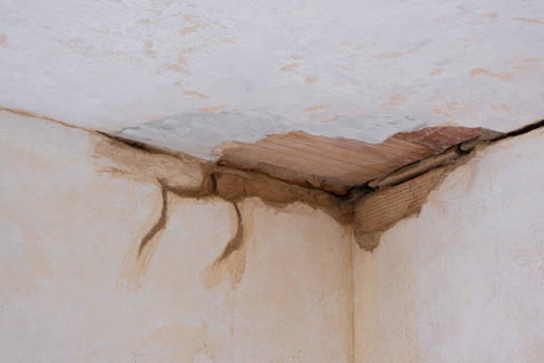 Best Water damage contractors near me  in Warsaw, IL