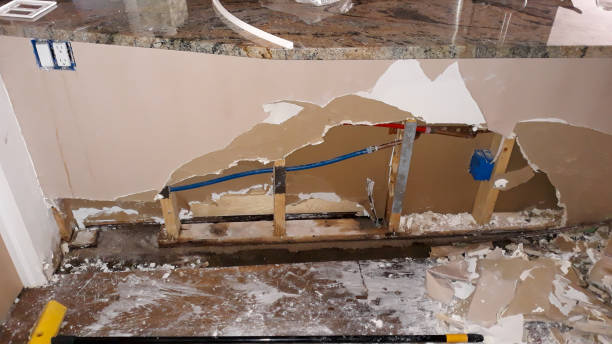 Best Flood damage cleanup  in Warsaw, IL