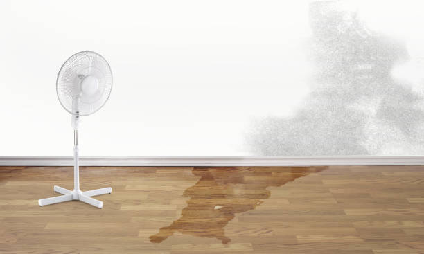 Best Professional water damage repair  in Warsaw, IL