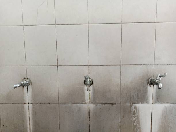 Best Sewage cleanup and water damage restoration  in Warsaw, IL