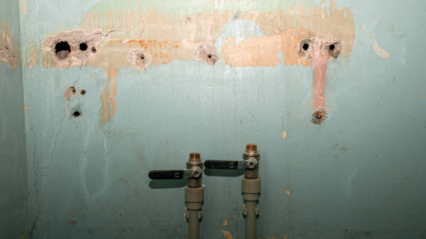 Best Flooded house restoration  in Warsaw, IL