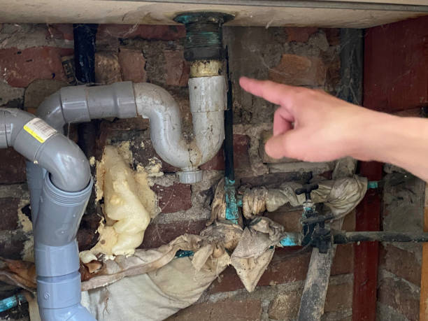 Best Basement water damage restoration  in Warsaw, IL