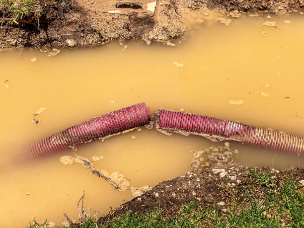 Best Water damage cleanup near me  in Warsaw, IL