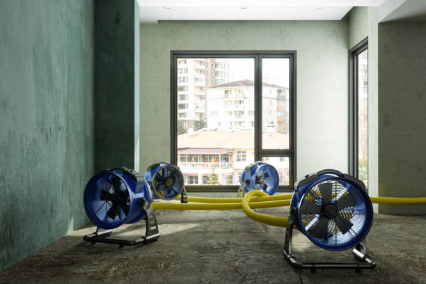 Best Local water damage restoration  in Warsaw, IL